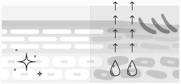 Hair Fall: Causes, Prevention, and Simple Treatments